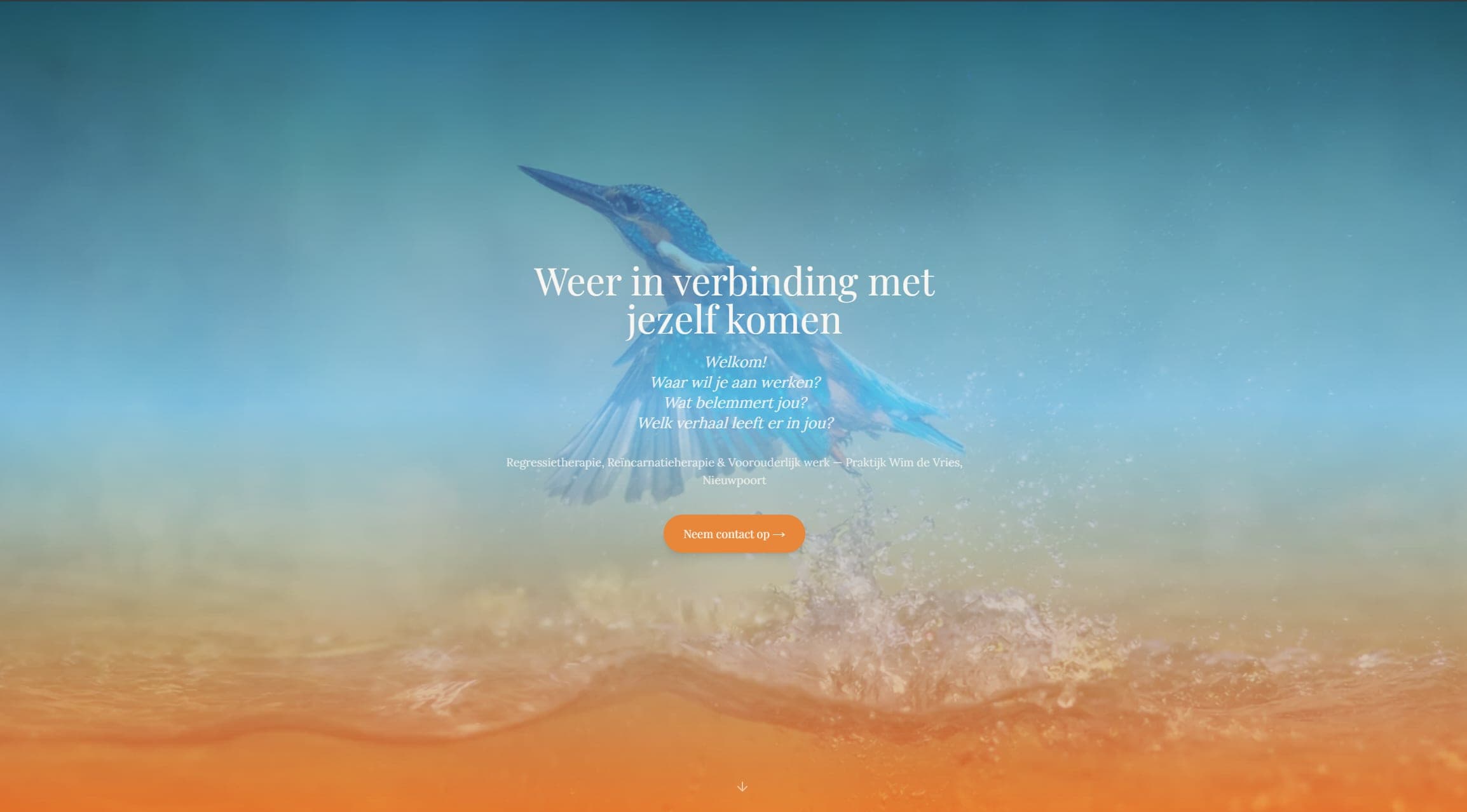 Website gemaakt voor Praktijk Wim de Vries